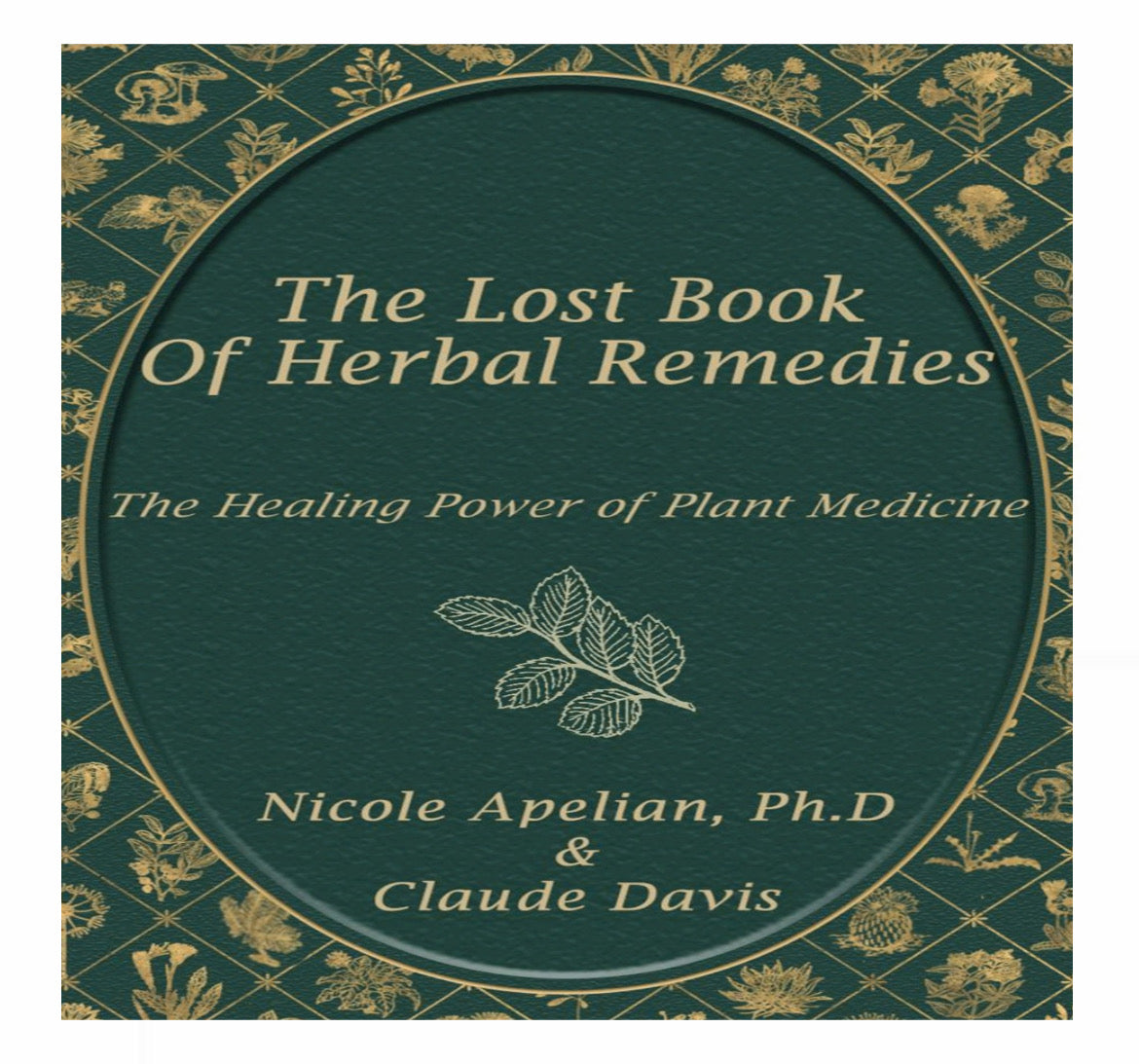 2. The Lost Book Of Herbal Remedies